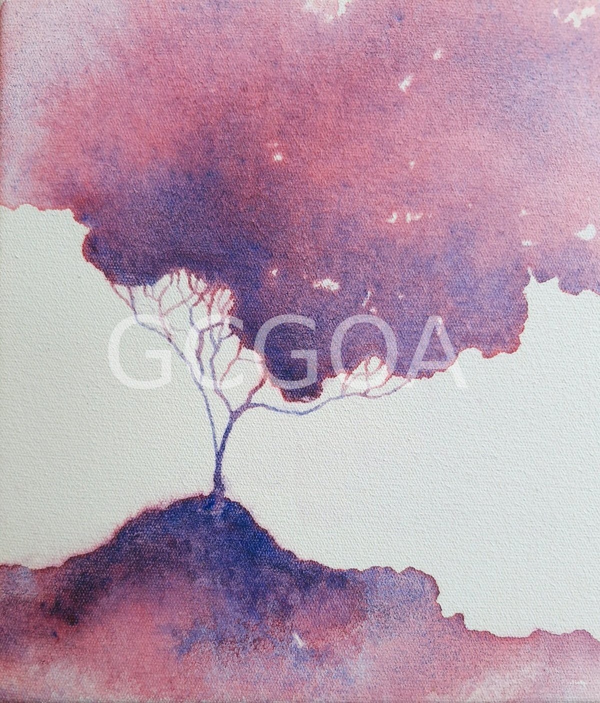 Soft Blush - Gold Coast Gallery Of ArtLucinda Leveille
