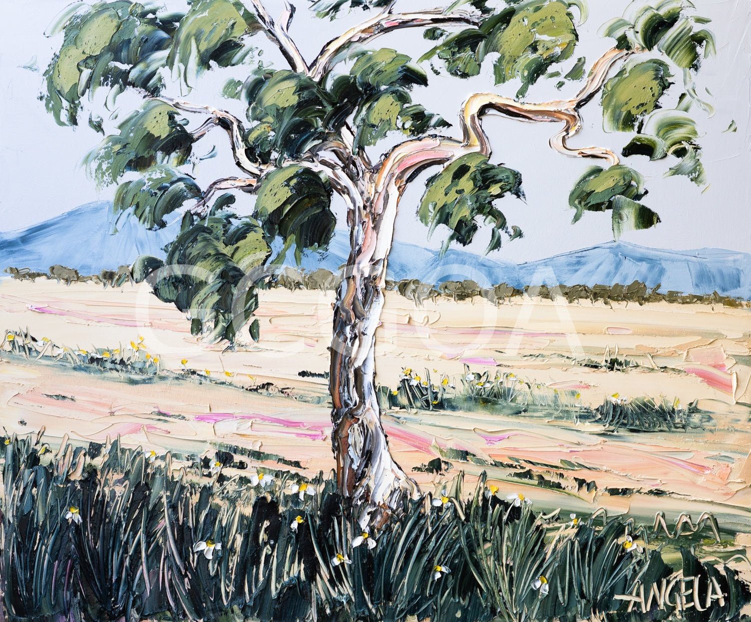 Soft Earth Vista - Gold Coast Gallery Of ArtAngela Hawkey