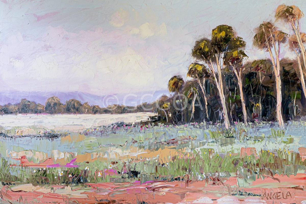 Soft Light on Still Country - Gold Coast Gallery Of ArtAngela Hawkey