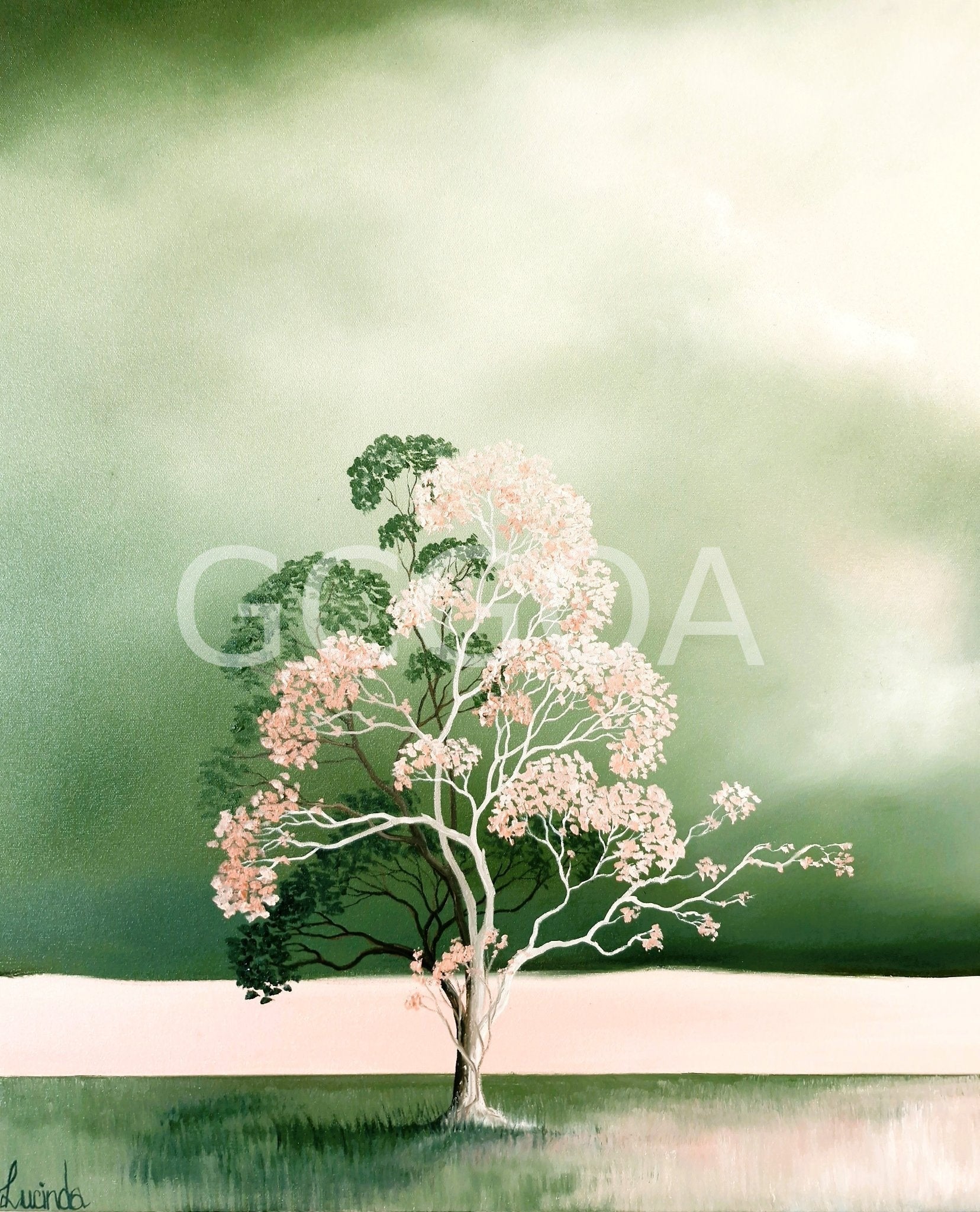 Soft Weather Blossom - Gold Coast Gallery Of ArtLucinda Leveille