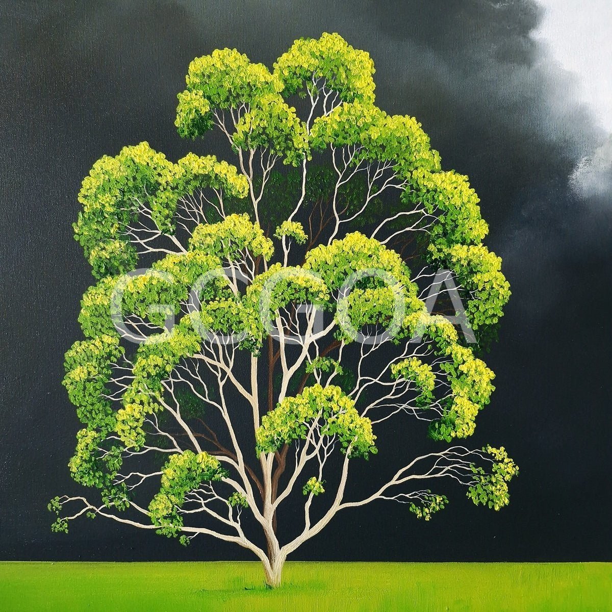 Solitude Of Sky - Gold Coast Gallery Of ArtLucinda Leveille