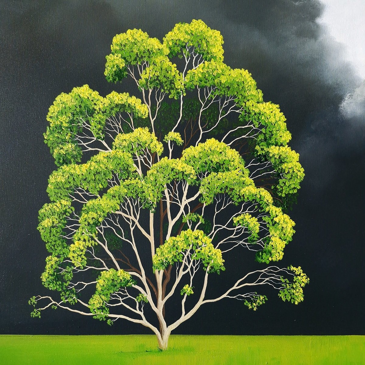 Solitude Of Sky - Gold Coast Gallery Of ArtLucinda Leveille