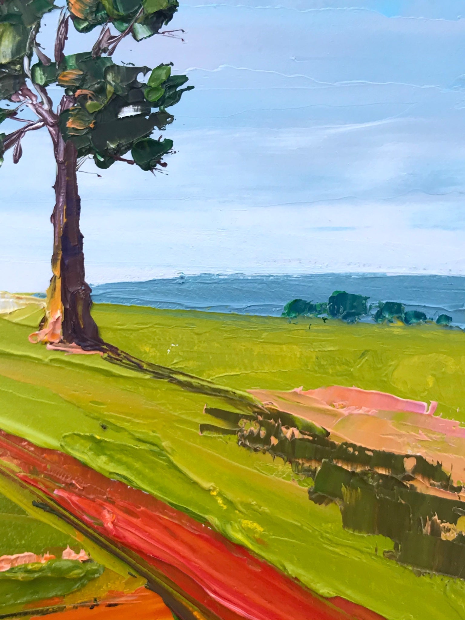 Spring on our Farm 14 - Plein Air - Gold Coast Gallery Of ArtHilly Coufreur