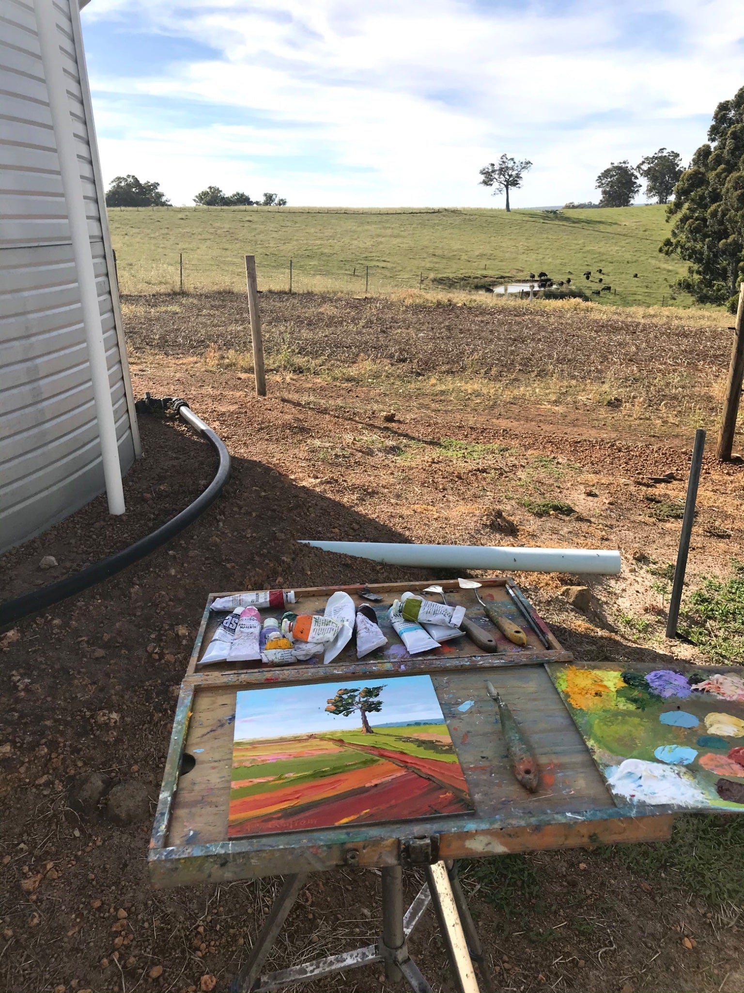 Spring on our Farm 14 - Plein Air - Gold Coast Gallery Of ArtHilly Coufreur