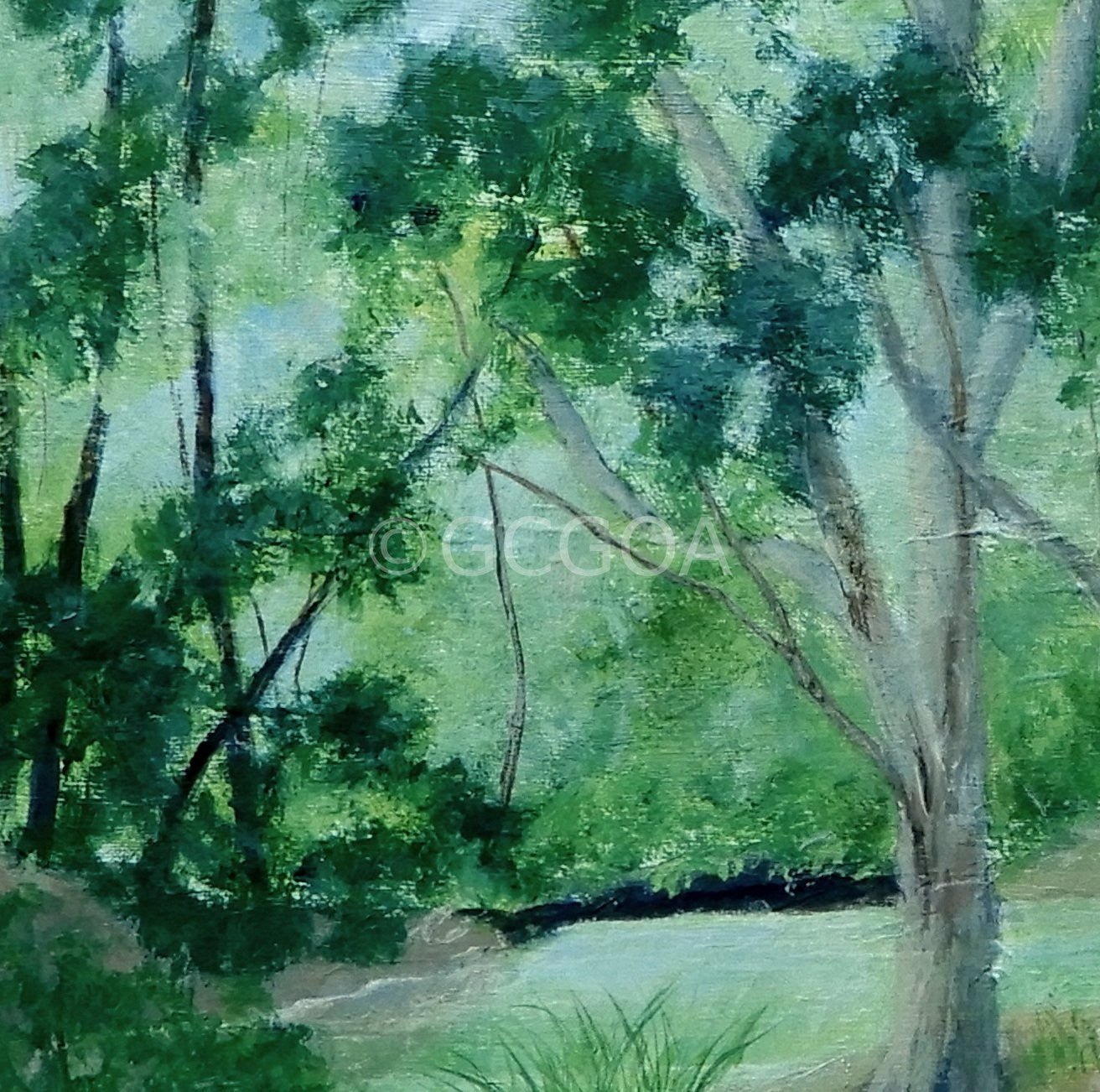 Still Creek - Original Art - Gold Coast Gallery Of ArtDoodie Herman