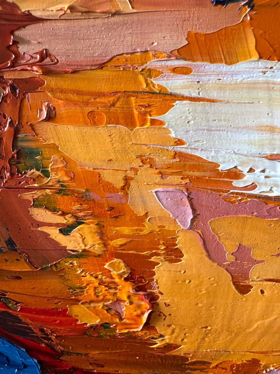 Succulent in Terracotta Pot - Gold Coast Gallery Of ArtHilly Coufreur