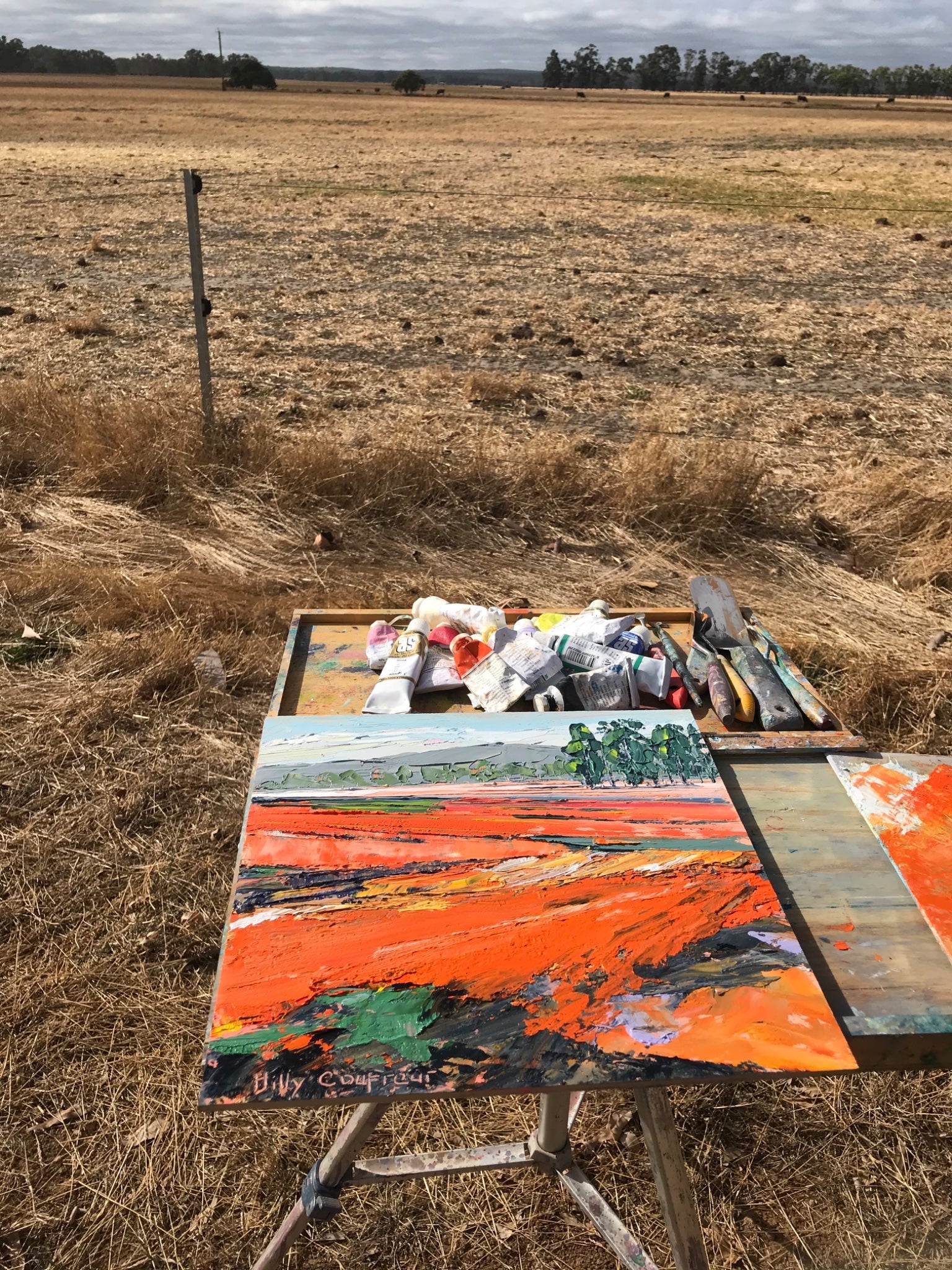 Summer on the Farm 12 - Gold Coast Gallery Of ArtHilly Coufreur