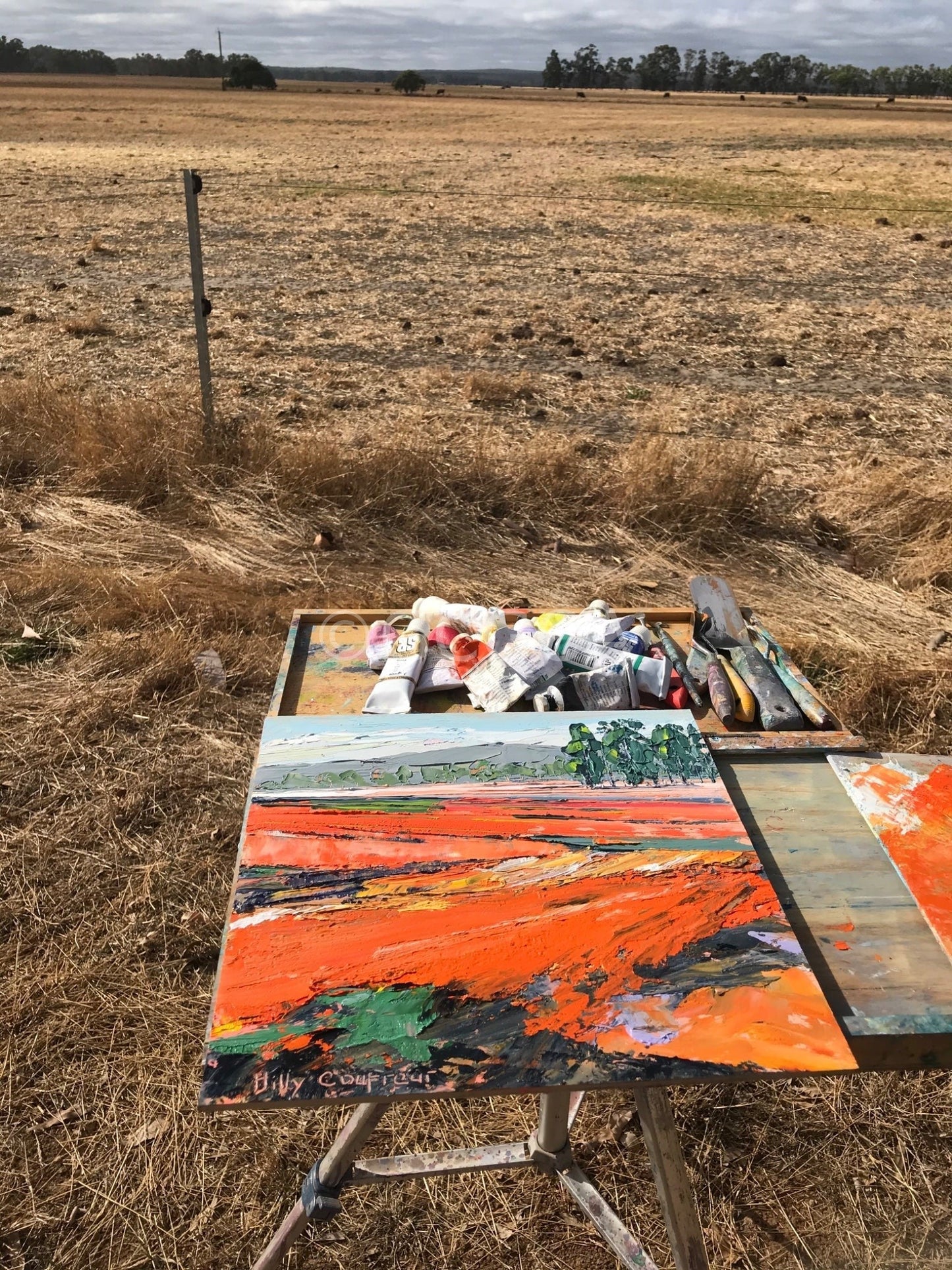 Summer on the Farm 12 - Gold Coast Gallery Of ArtHilly Coufreur