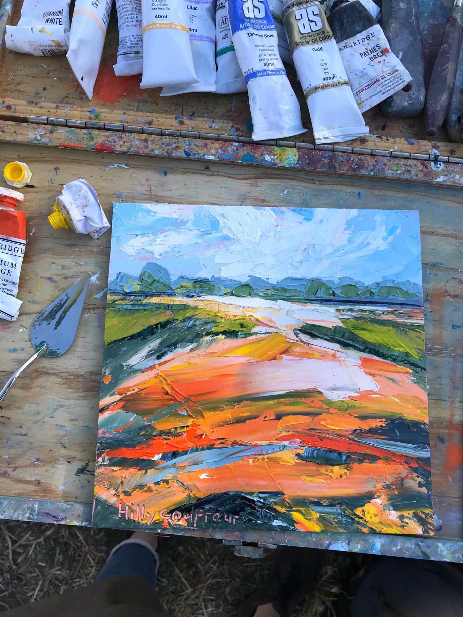 Summer on the Farm 13 - Gold Coast Gallery Of ArtHilly Coufreur