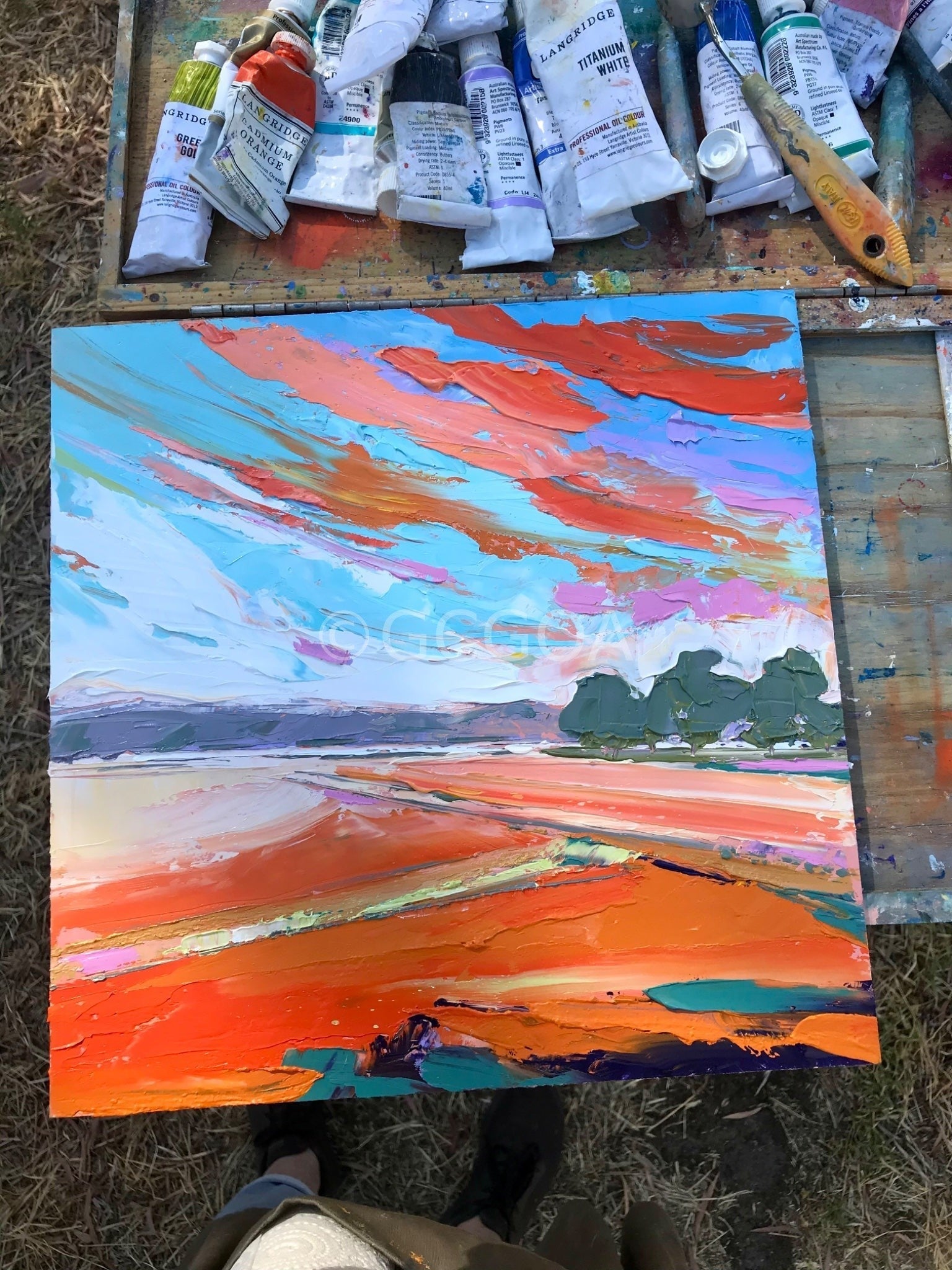 Summer on the Farm 21 - Gold Coast Gallery Of ArtHilly Coufreur