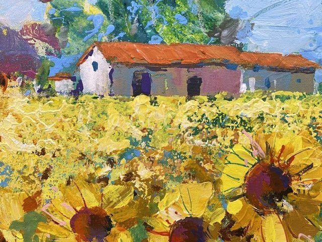 Sunflower Fields - Original Art - Gold Coast Gallery Of ArtJos Coufreur