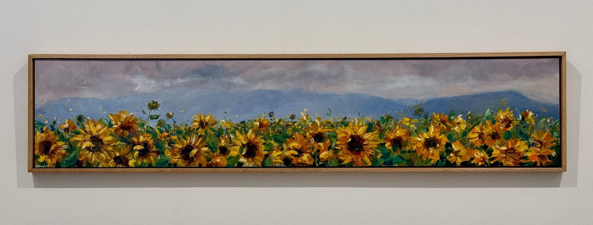 Sunflower Symphony - Gold Coast Gallery Of ArtAmy Eberhardt