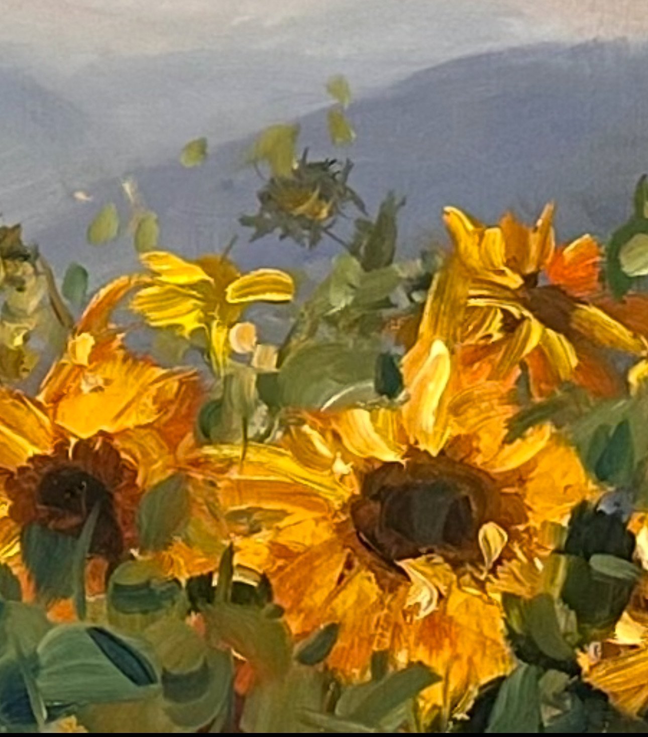 Sunflower Symphony - Gold Coast Gallery Of ArtAmy Eberhardt