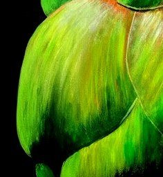 The Hidden Heart - Gold Coast Gallery Of ArtYvonne Wells