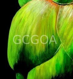 The Hidden Heart - Gold Coast Gallery Of ArtYvonne Wells