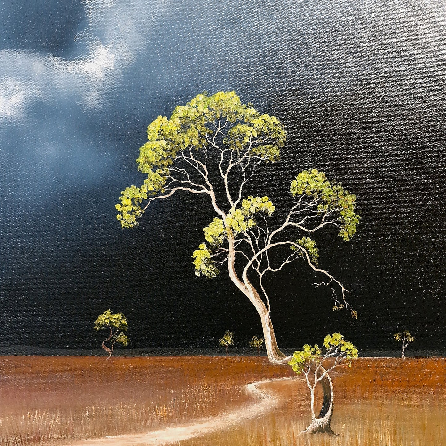The Light Of Dusk - Gold Coast Gallery Of ArtLucinda Leveille
