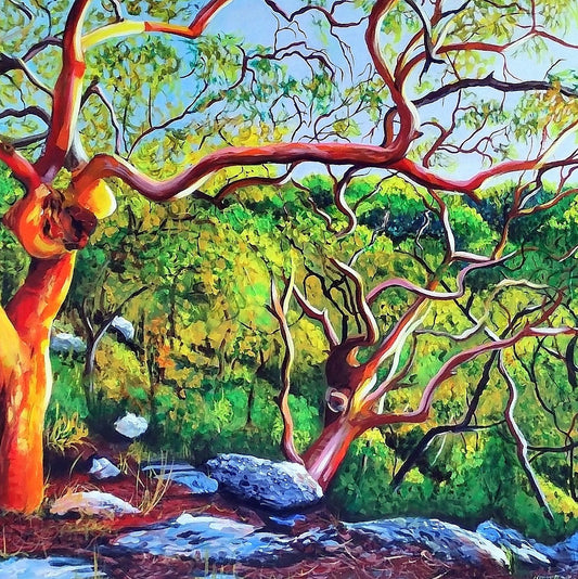 The Long Walk Back - Original Art - Gold Coast Gallery Of ArtYvonne Wells