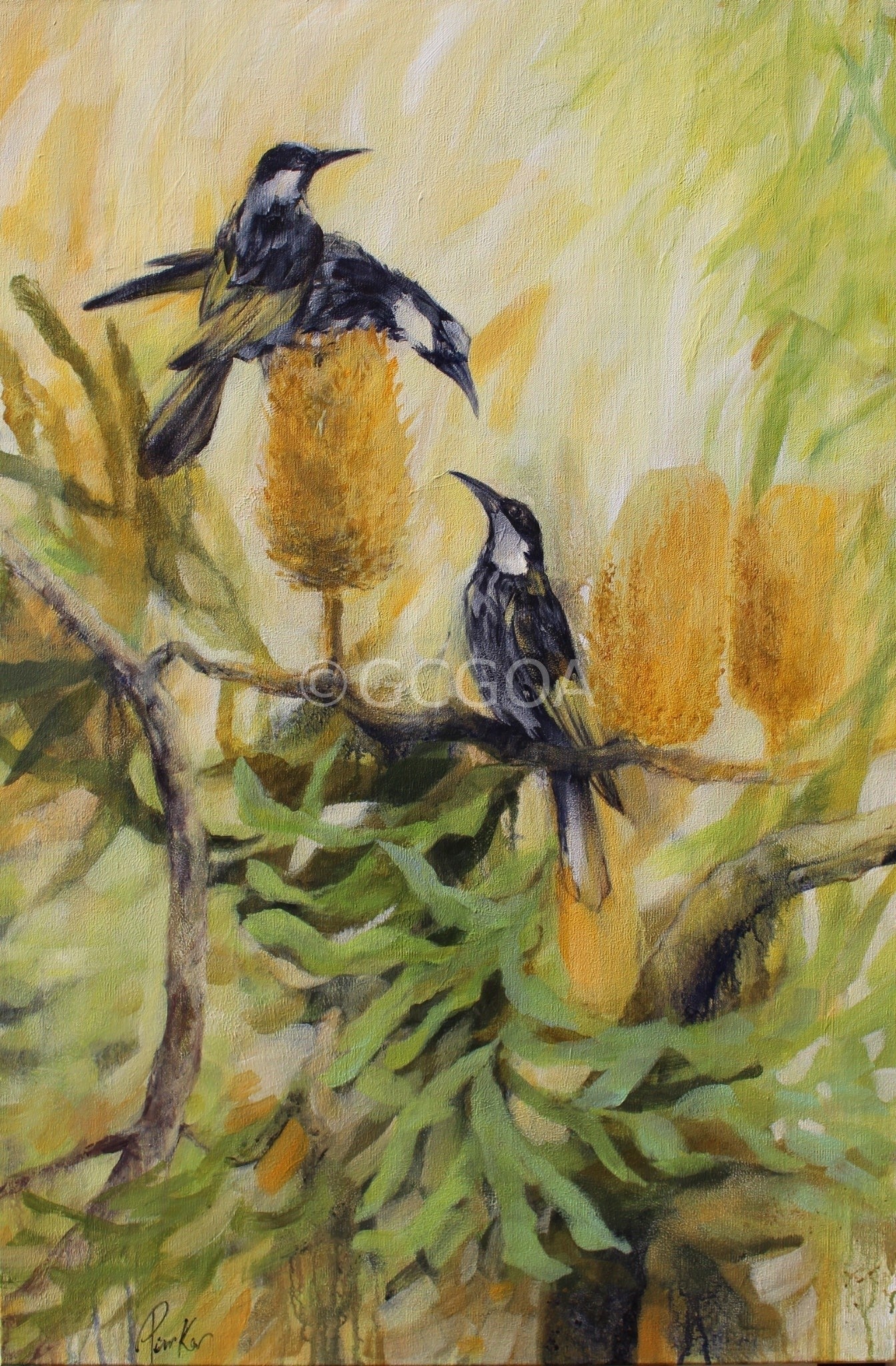 The Nectar Lovers - New England Honey Eaters - Gold Coast Gallery Of ArtDeb Parker Artist