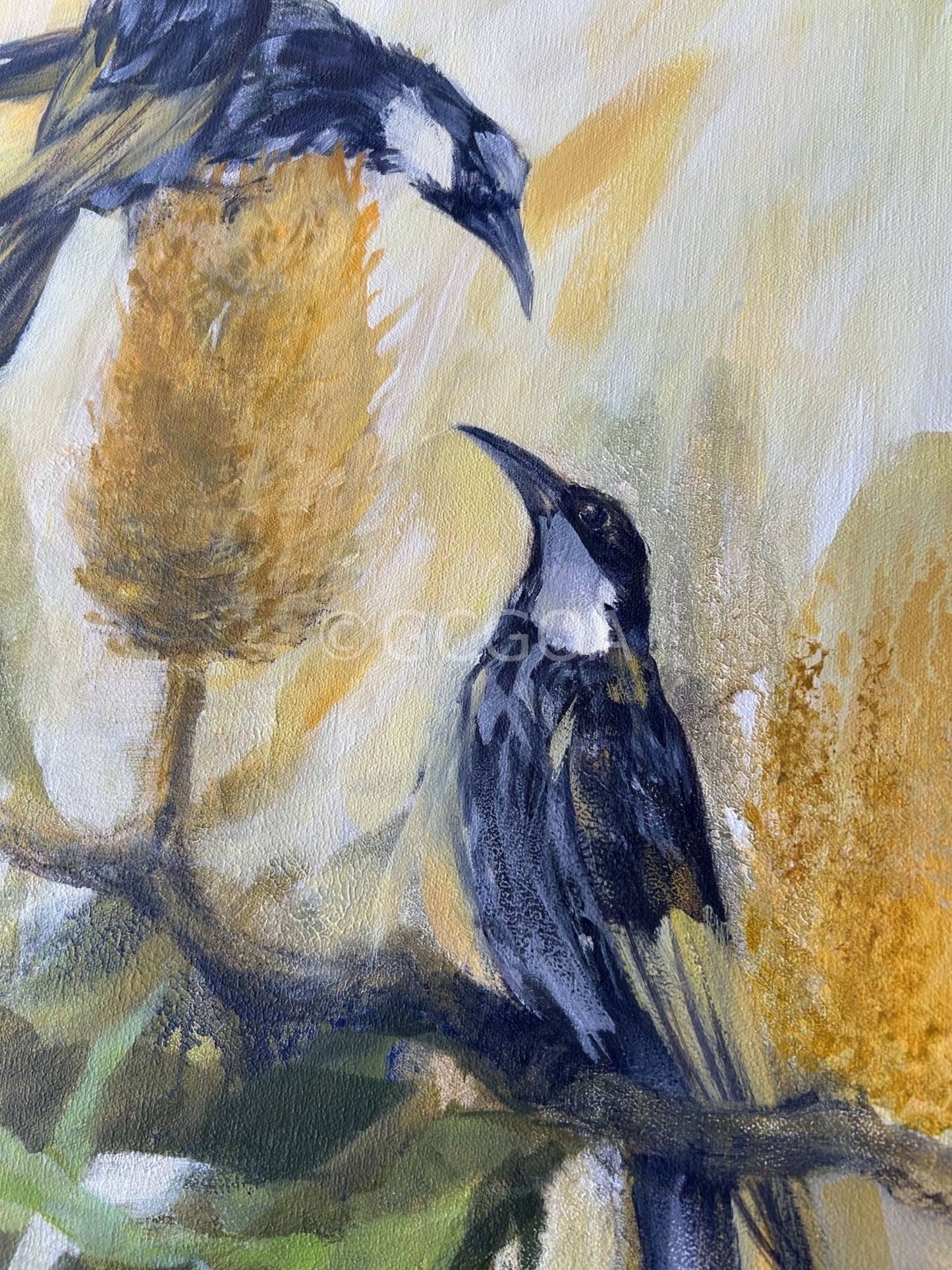 The Nectar Lovers - New England Honey Eaters - Gold Coast Gallery Of ArtDeb Parker Artist