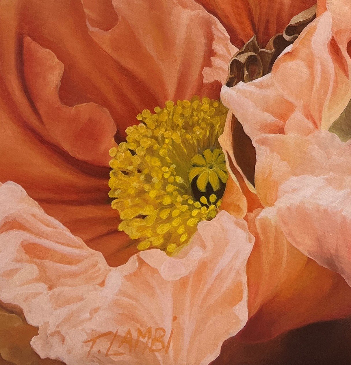 The Poppies Dance - Gold Coast Gallery Of ArtTrisha Lambi