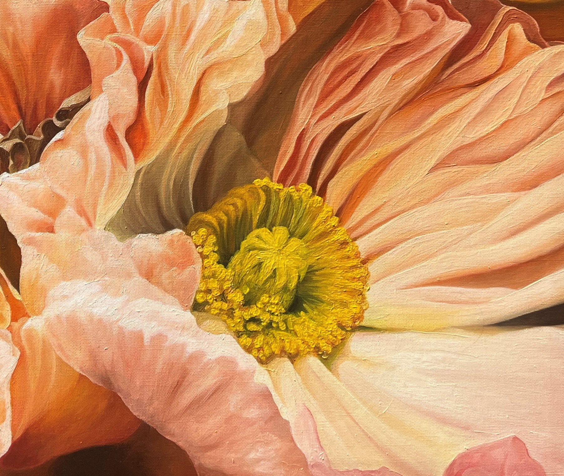 The Poppies Dance - Gold Coast Gallery Of ArtTrisha Lambi