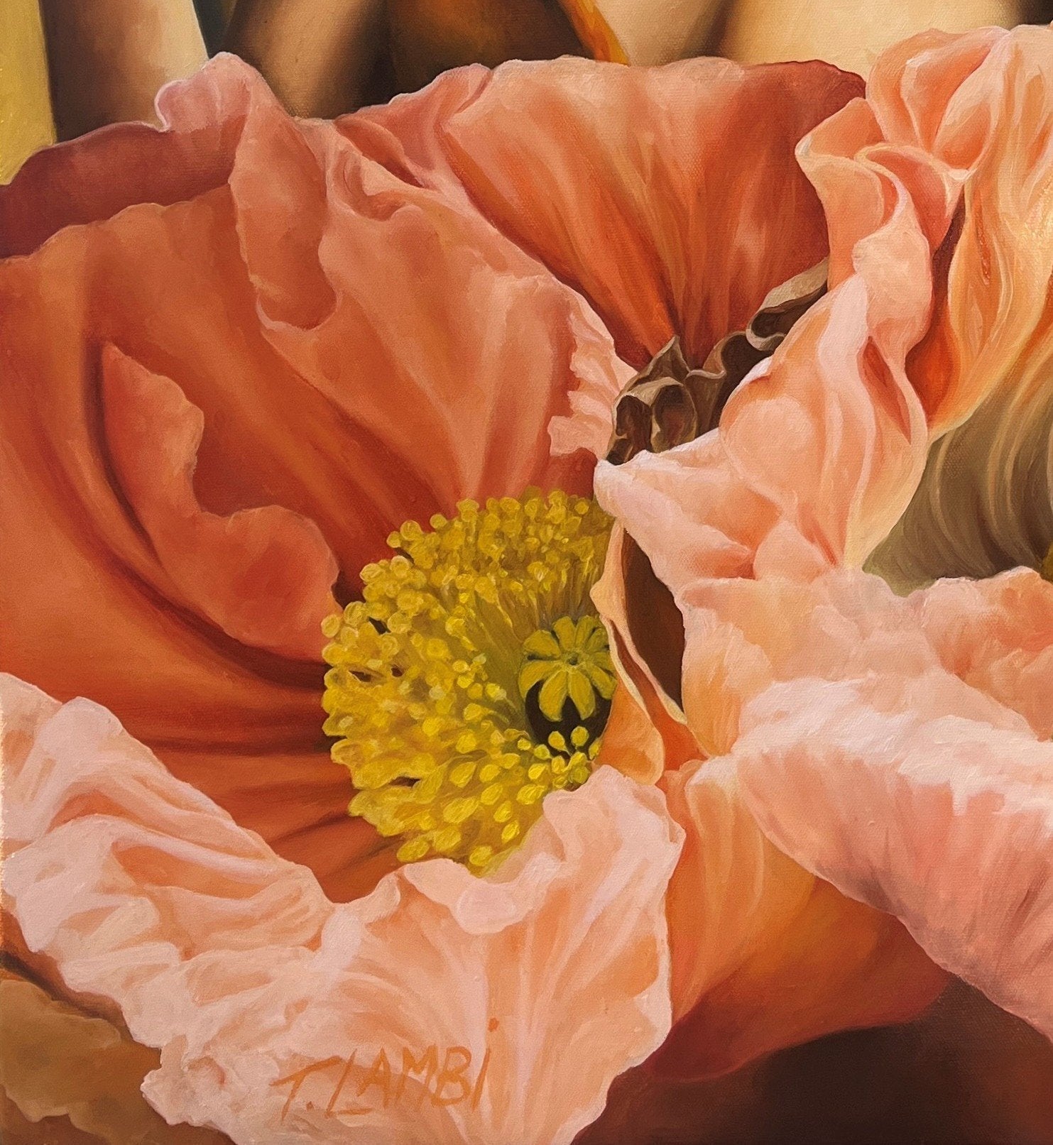 The Poppies Dance - Gold Coast Gallery Of ArtTrisha Lambi