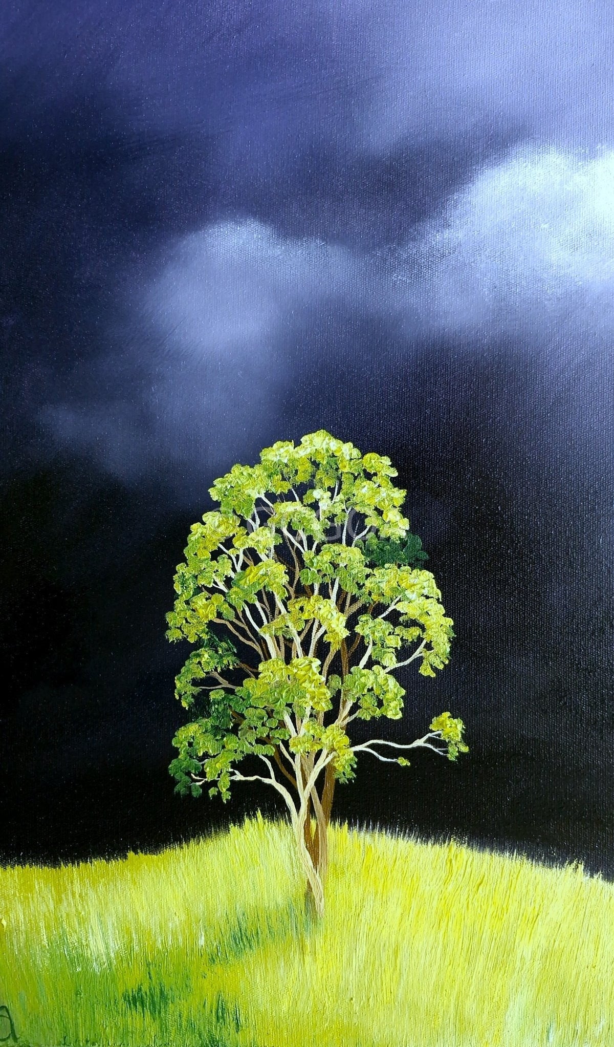 The Quiet Before The Rain - original art - Gold Coast Gallery Of ArtLucinda Leveille