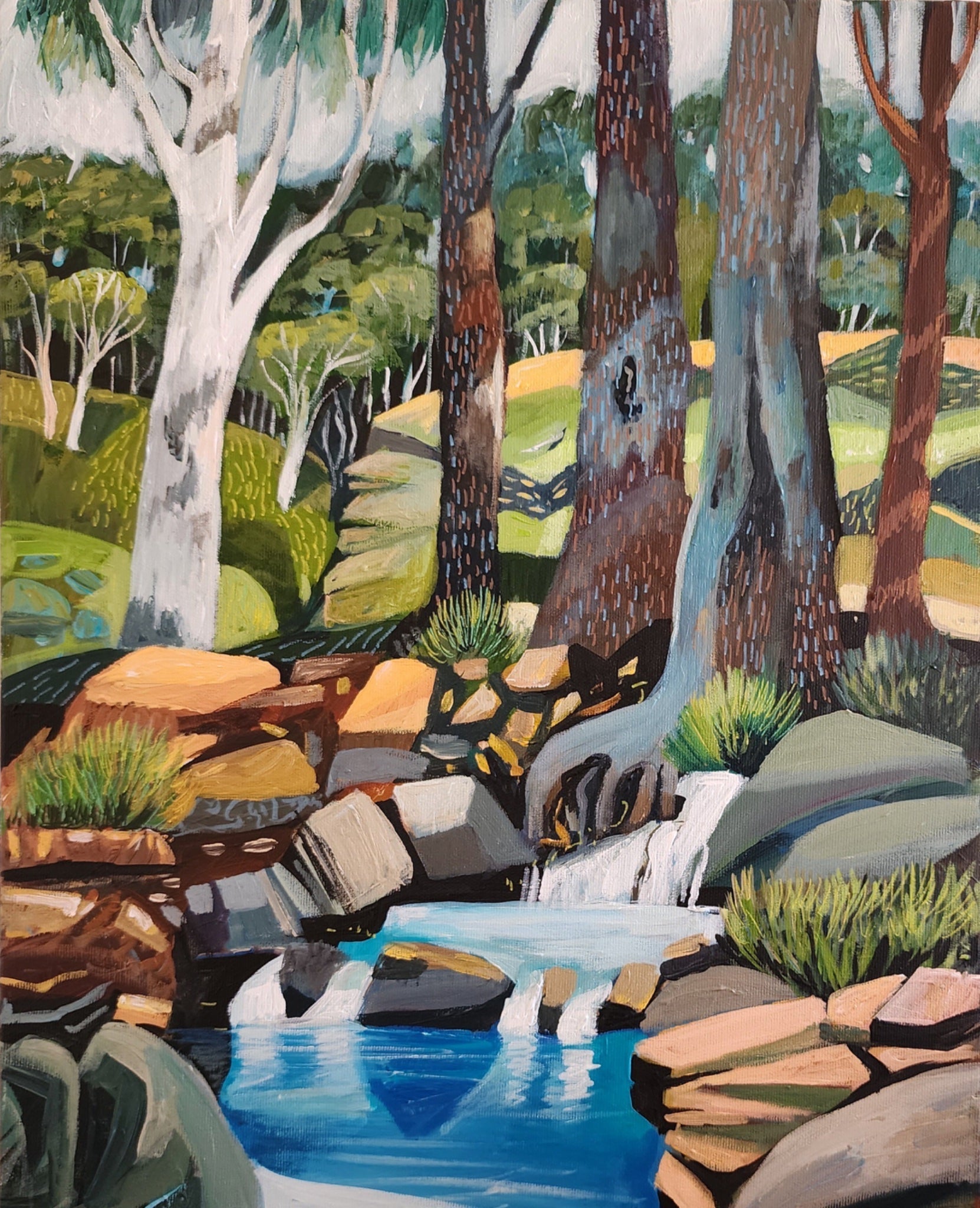 The Rock Pond no 2 - Gold Coast Gallery Of ArtSusan Trudinger