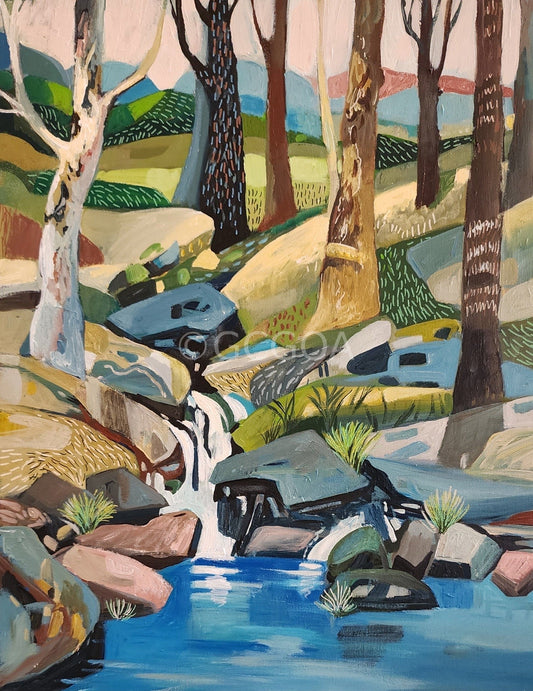 The Rock Pond - Original Art - Gold Coast Gallery Of ArtSusan Trudinger