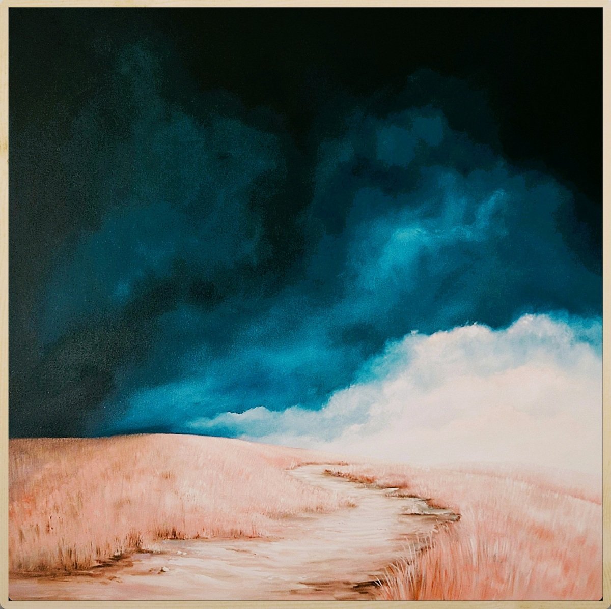 The Softest Warning - Gold Coast Gallery Of ArtLucinda Leveille