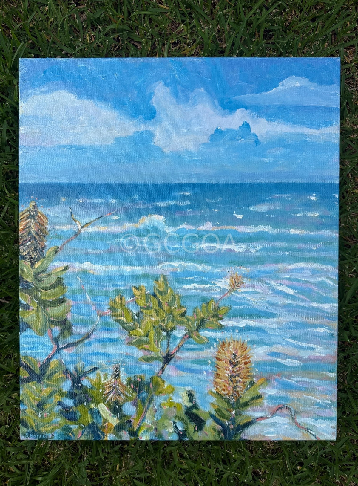 The Solace Of Salt Water - Gold Coast Gallery Of ArtSuzanne Barrett