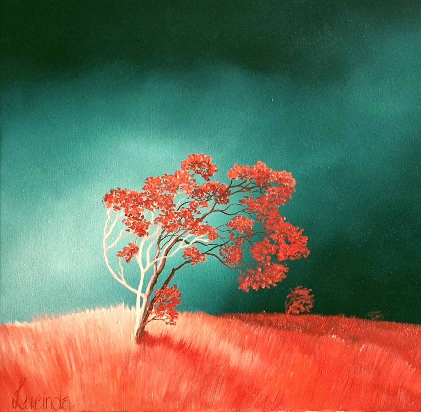 The Wind On The Hill - Original Art - Gold Coast Gallery Of ArtLucinda Leveille