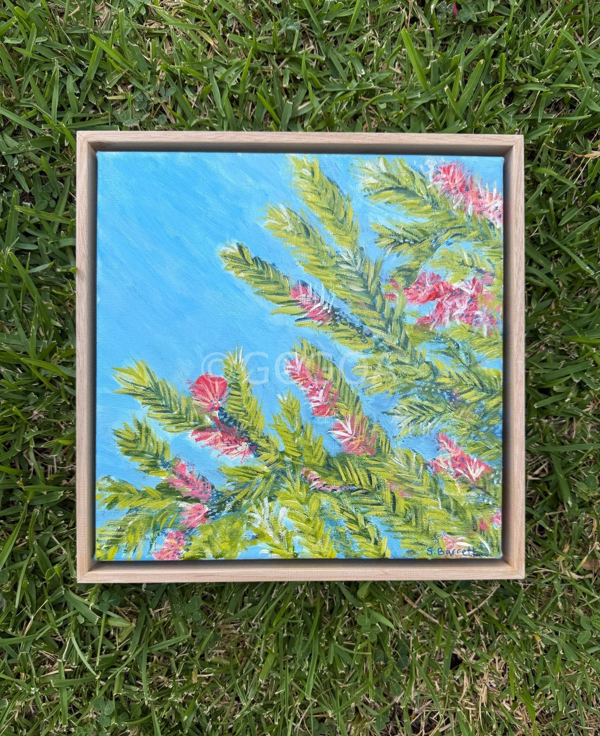 Things Are Looking Up - Original Art - Gold Coast Gallery Of ArtSuzanne Barrett