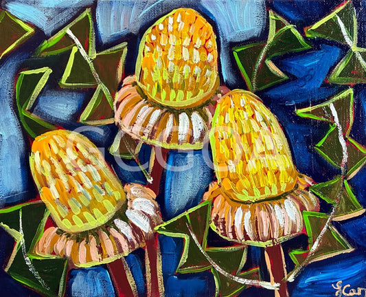 Three Banksias - Gold Coast Gallery Of ArtLucy Car