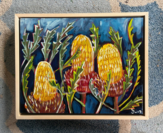 Three Banksias Small - Gold Coast Gallery Of ArtLucy Car