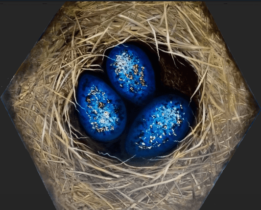 Three egg nest - Original Art - Gold Coast Gallery Of ArtYvonne Wells