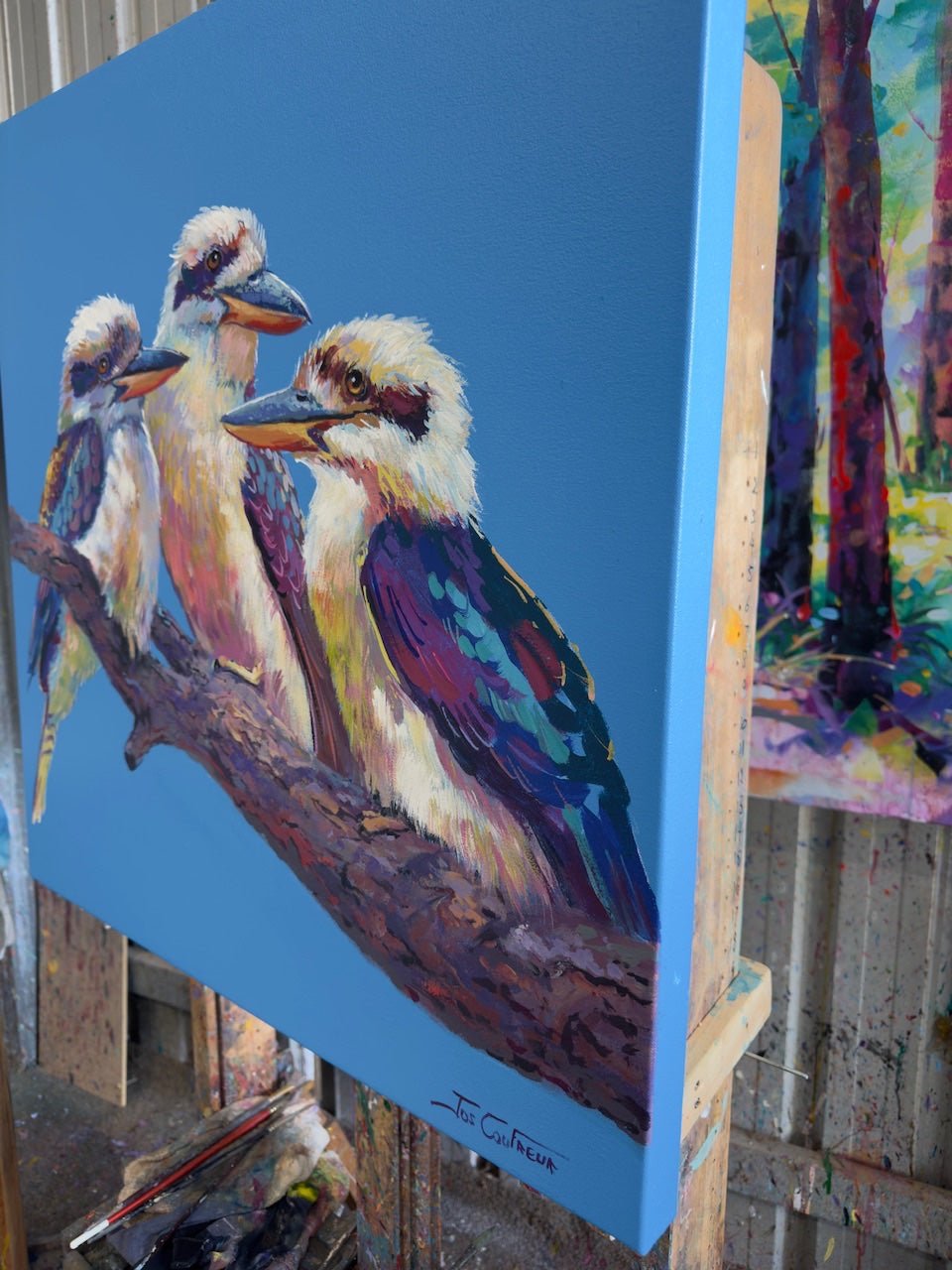 Three Kookaburras 4 - Gold Coast Gallery Of ArtJos Coufreur