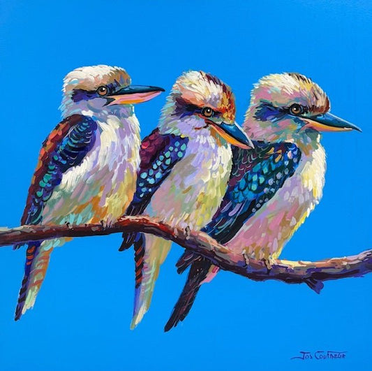 Three Kookaburras III - Gold Coast Gallery Of ArtJos Coufreur