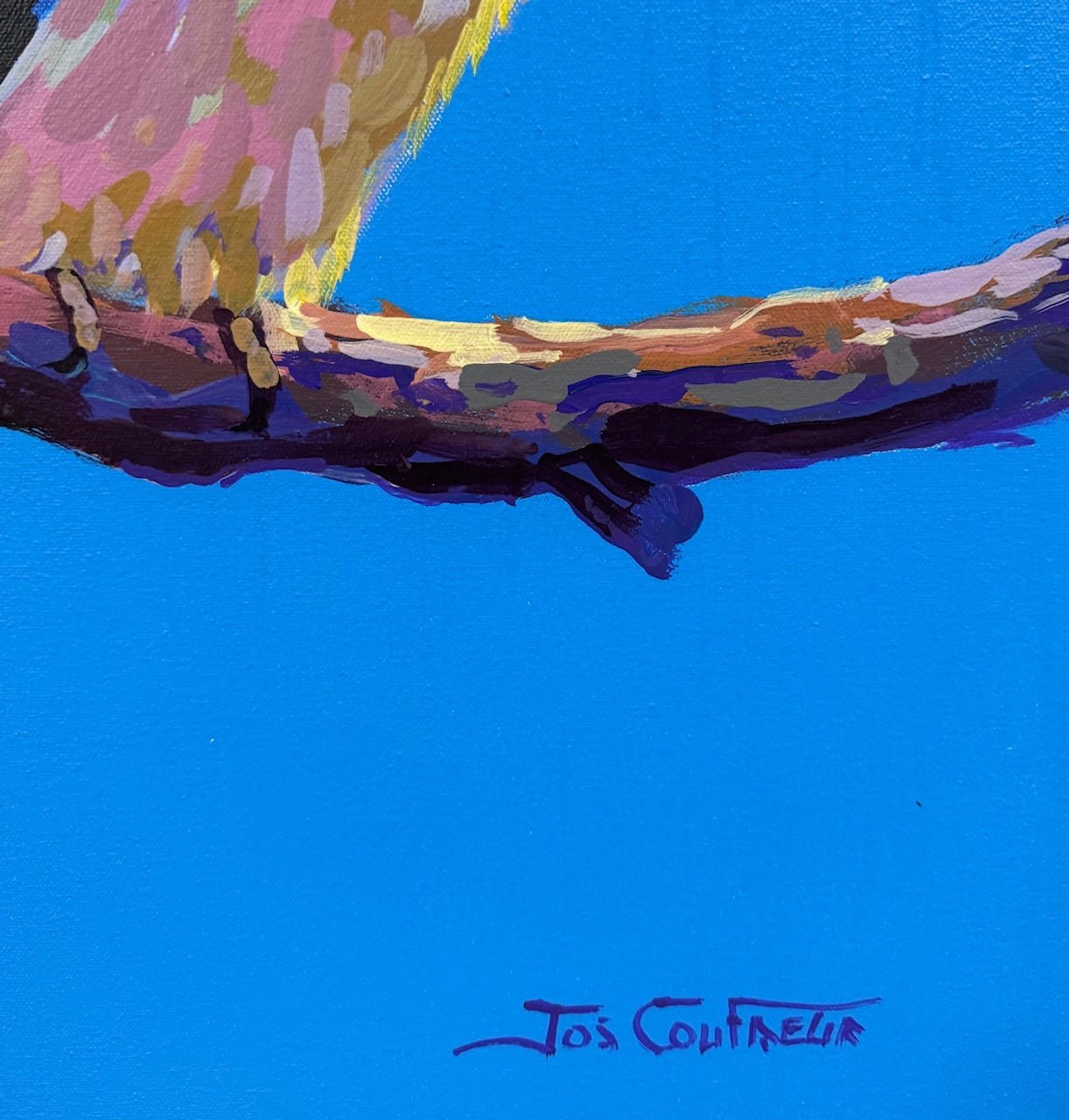 Three Kookaburras III - Gold Coast Gallery Of ArtJos Coufreur