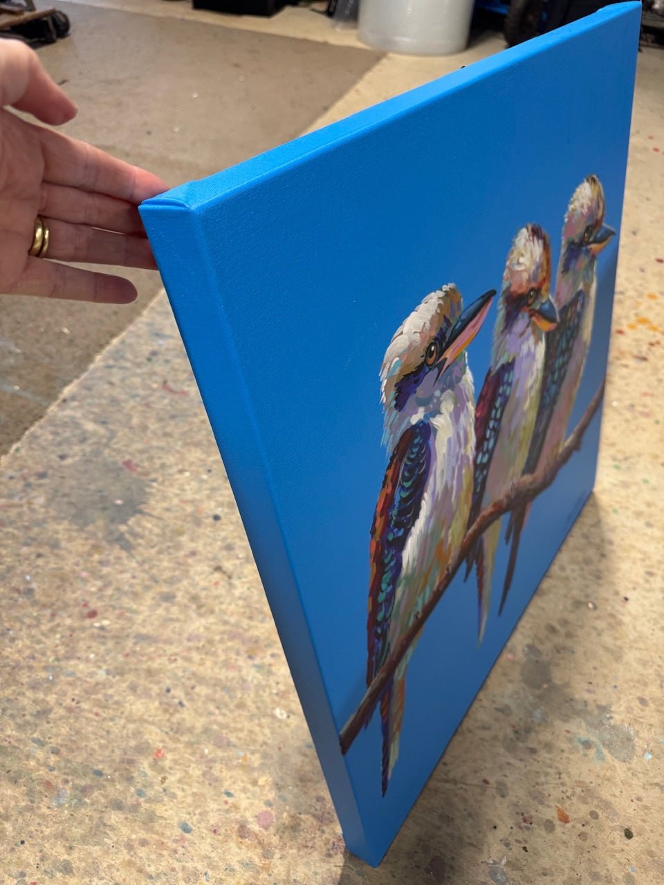 Three Kookaburras III - Gold Coast Gallery Of ArtJos Coufreur