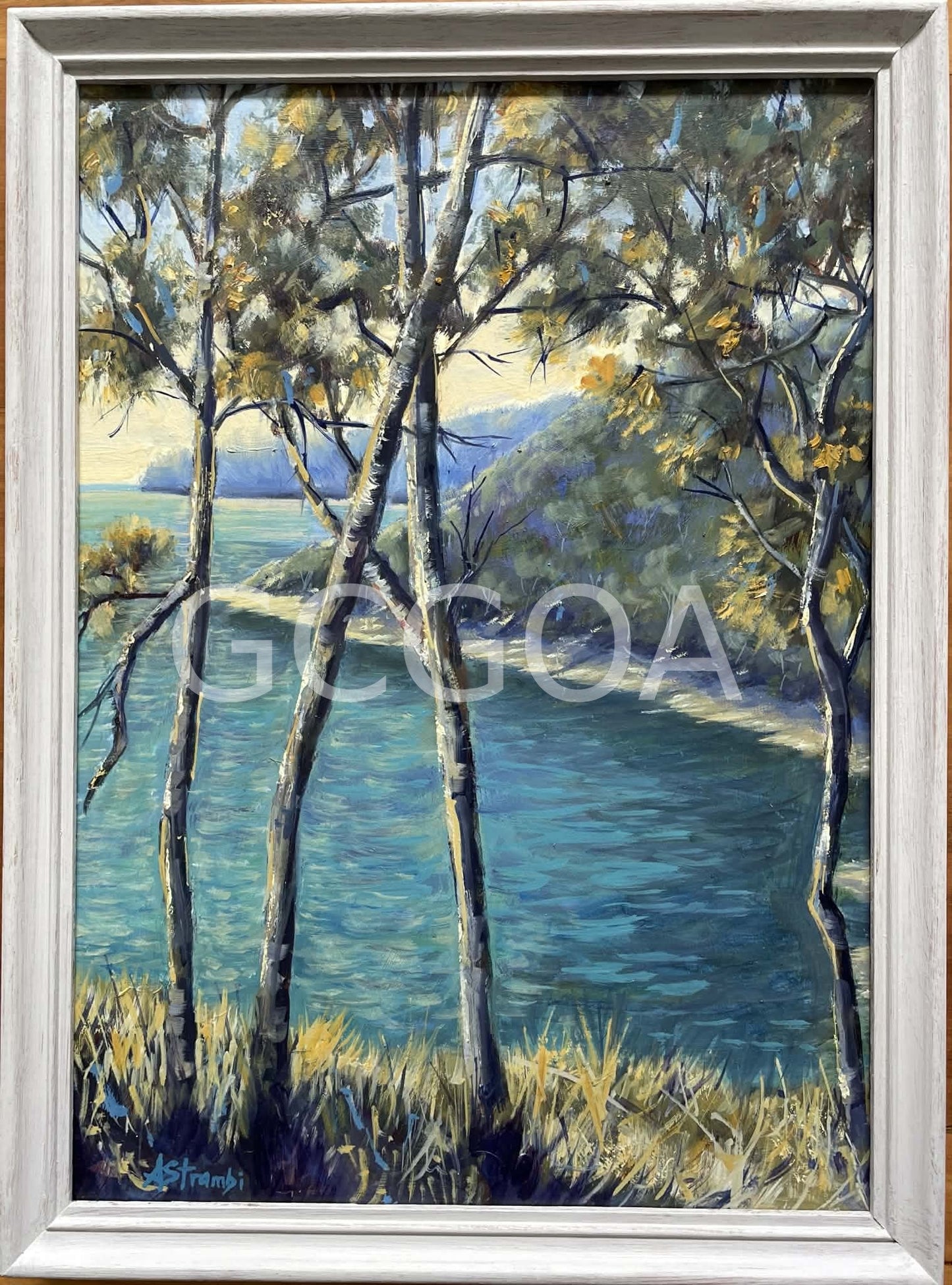 Through the Trees - Gold Coast Gallery Of ArtAnne Strambi