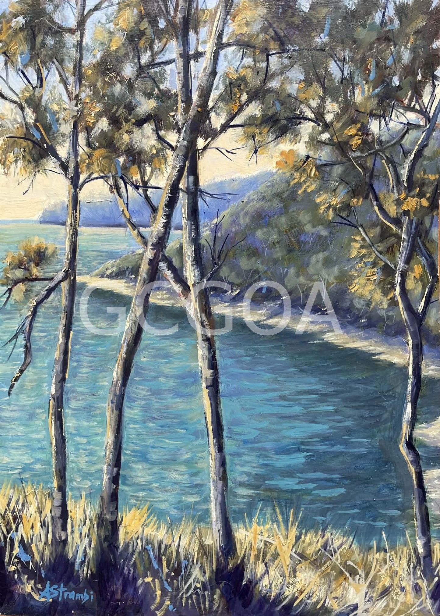 Through the Trees - Gold Coast Gallery Of ArtAnne Strambi