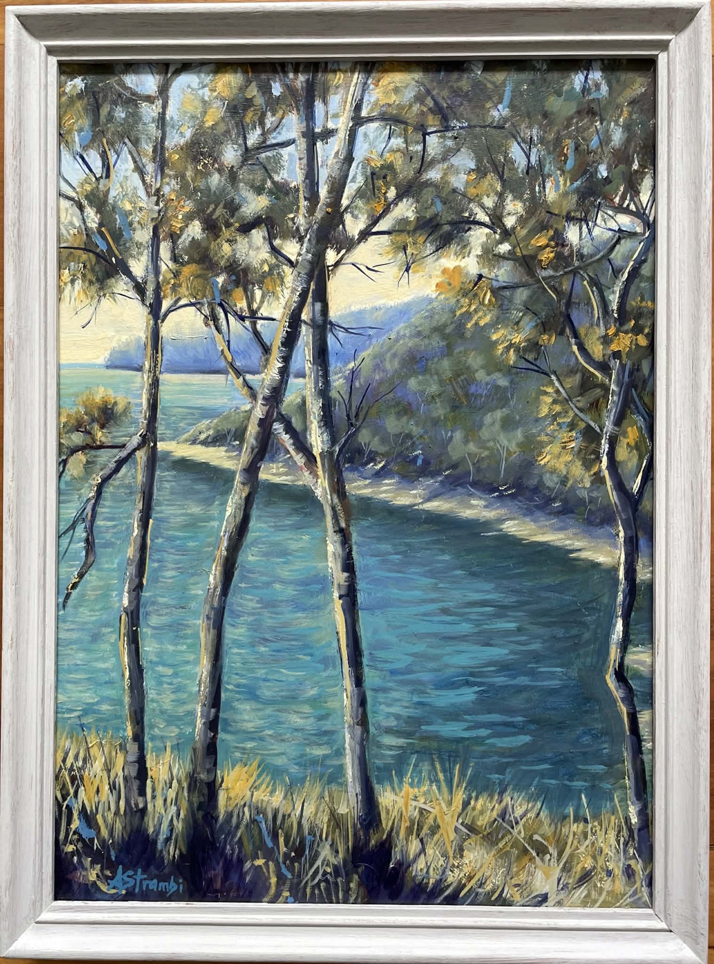 Through the Trees - Gold Coast Gallery Of ArtAnne Strambi