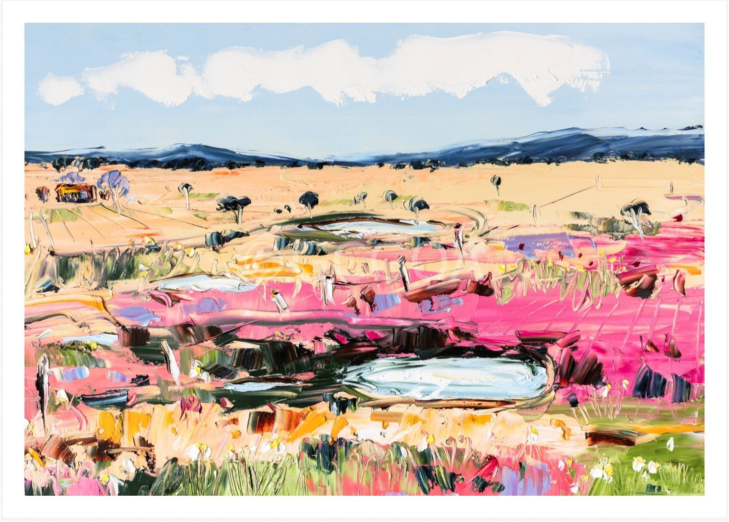 To Be Free - Fine Art Print - Gold Coast Gallery Of ArtAngela Hawkey