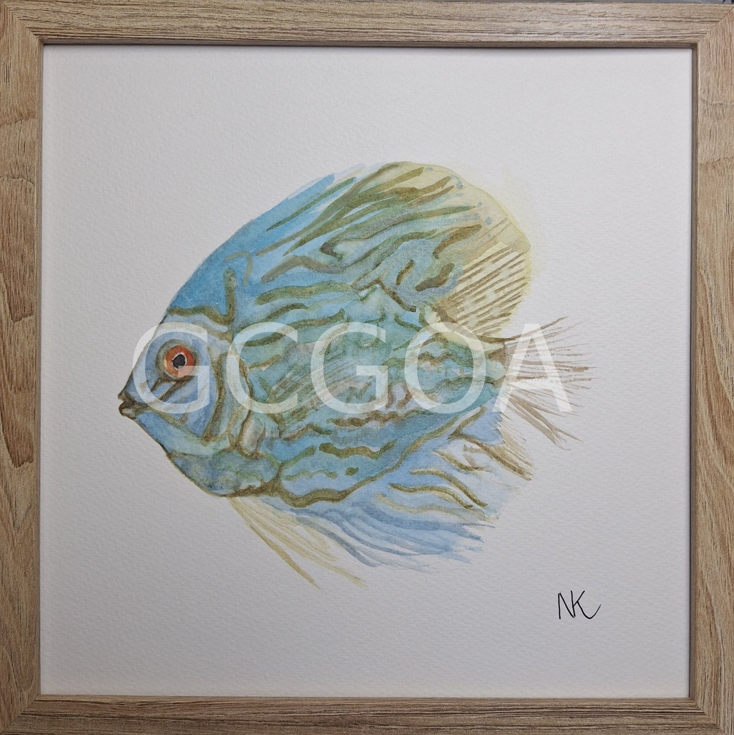 Tropical Fish Watercolour Painting - Gold Coast Gallery Of ArtNatalie K