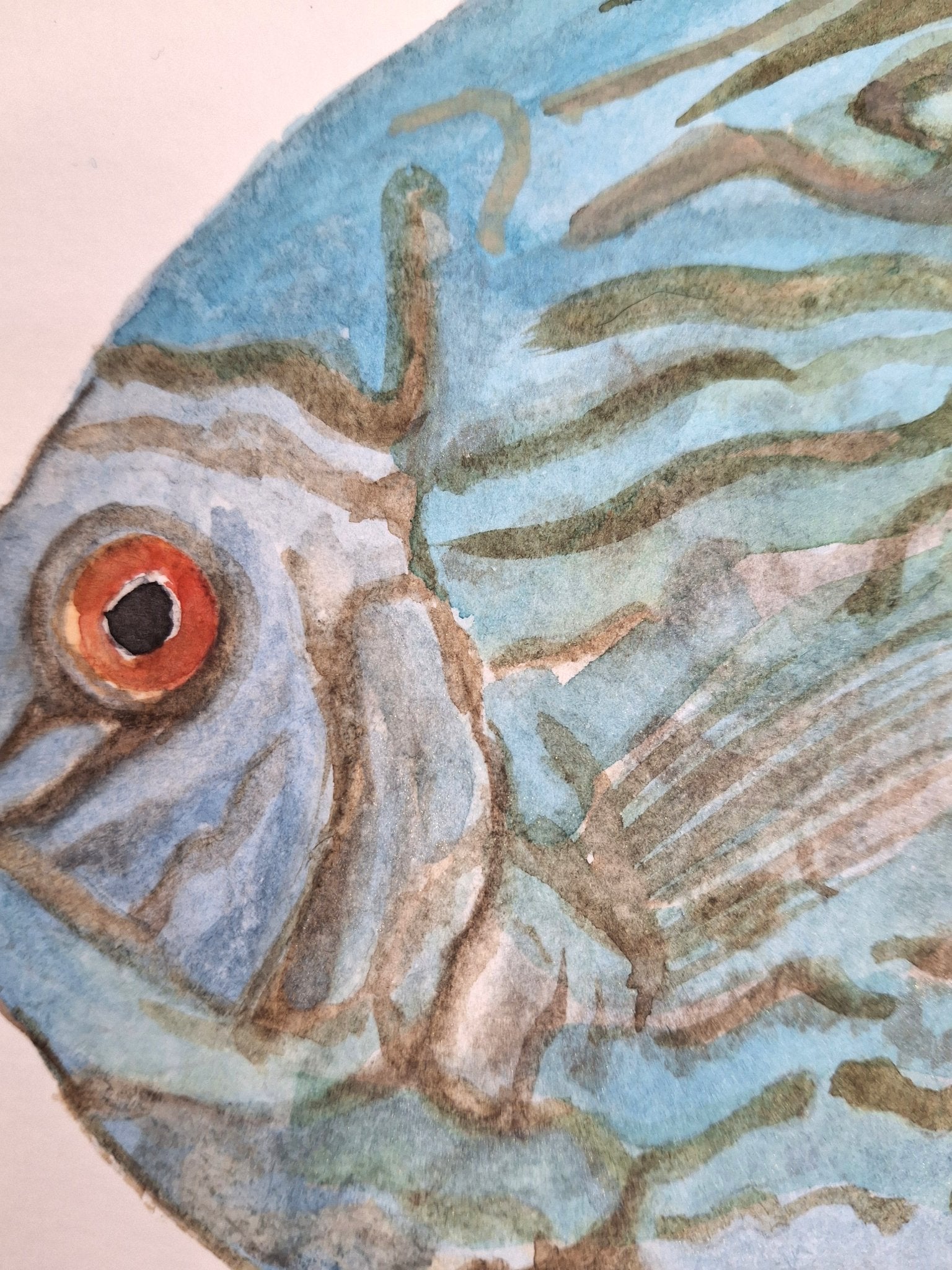 Tropical Fish Watercolour Painting - Gold Coast Gallery Of ArtNatalie K