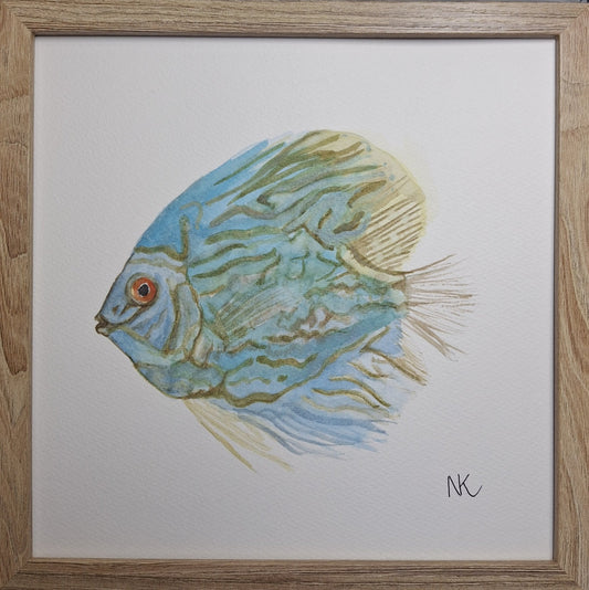 Tropical Fish Watercolour Painting - Gold Coast Gallery Of ArtNatalie K