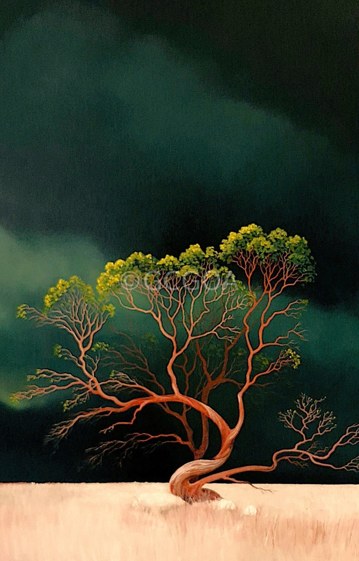 True Survivor - Original Art - Gold Coast Gallery Of ArtLucinda Leveille