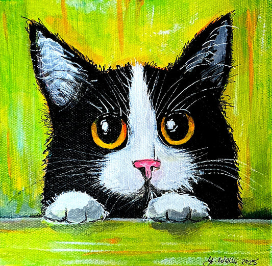 Tuxedo the cat - Gold Coast Gallery Of ArtYvonne Wells