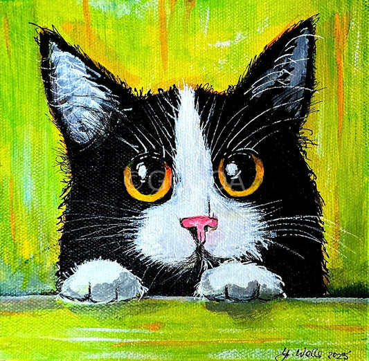 Tuxedo the cat - Gold Coast Gallery Of ArtYvonne Wells
